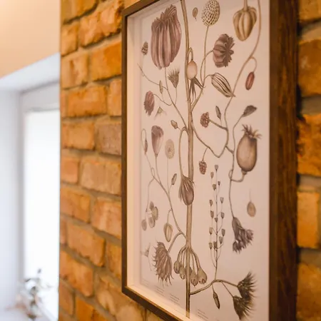 Zur Alten Baeckerei Apartamento Celle